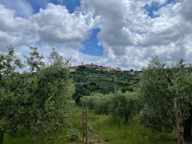 Terreno in vendita a Manciano GR