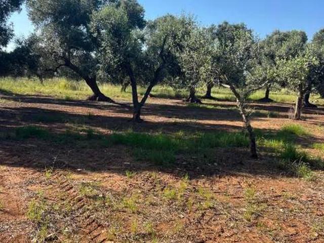 Terreno in vendita a Manduria TA