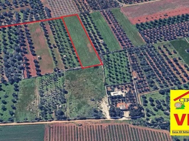 Terreno in vendita a Manduria TA