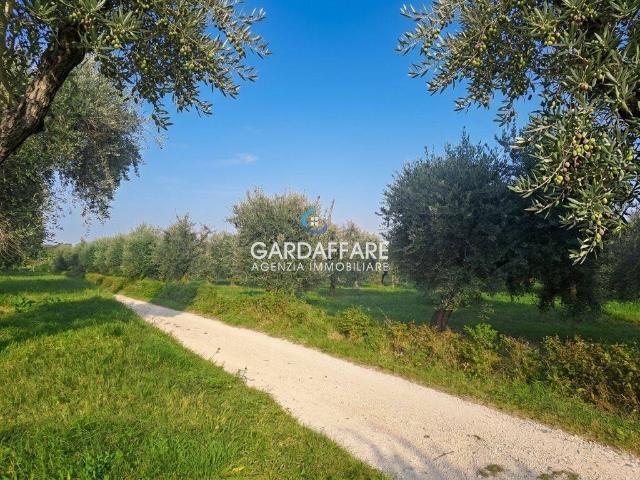 Terreno in vendita a Manerba del Garda BS