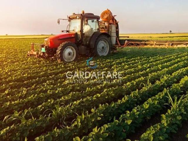 Terreno in vendita a Manerba del Garda BS