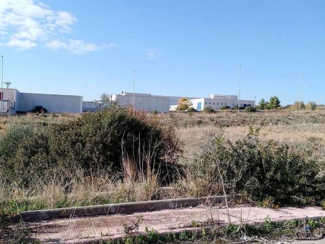 Terreno in vendita a Manfredonia FG