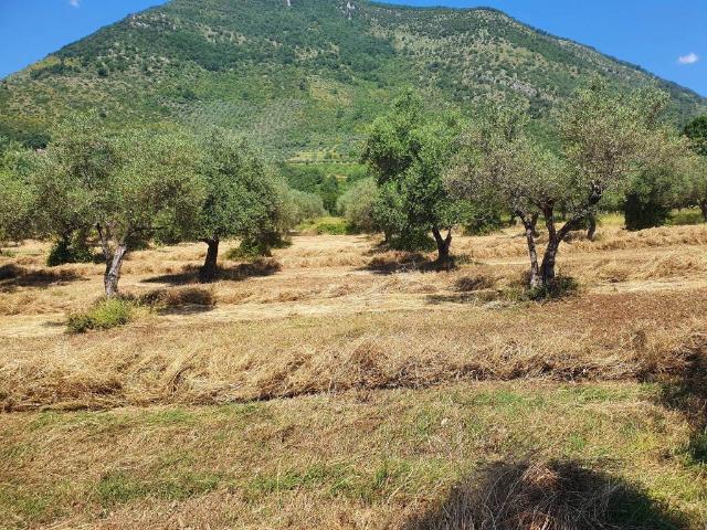 Terreno in vendita a Maenza LT