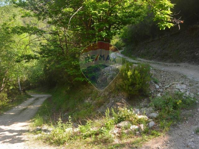 Terreno in vendita a Magliolo SV