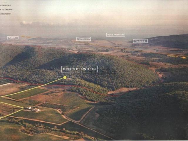 Terreno in vendita a Magliano in Toscana GR
