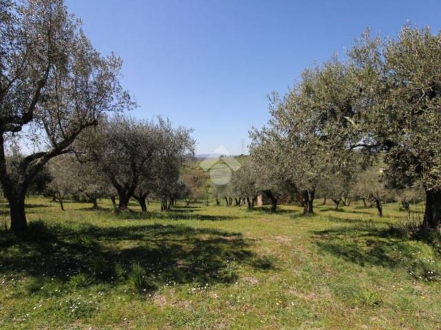 Terreno in vendita a Magliano Romano RM