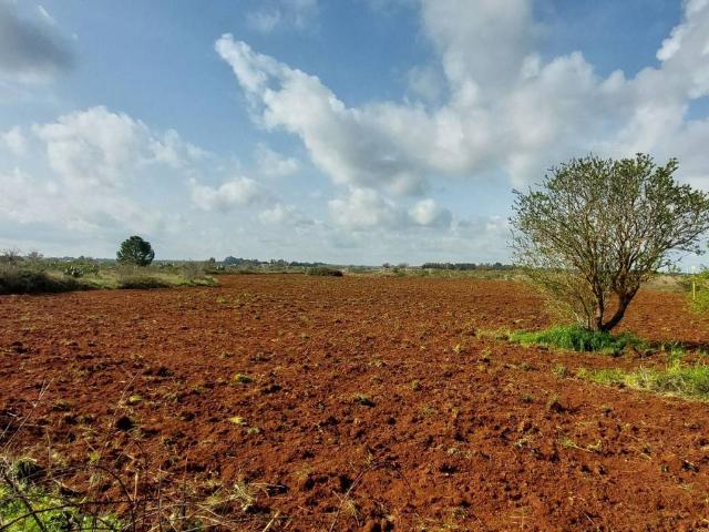 Terreno in vendita a Maglie LE