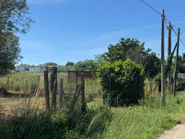 Terreno in vendita a Marta VT