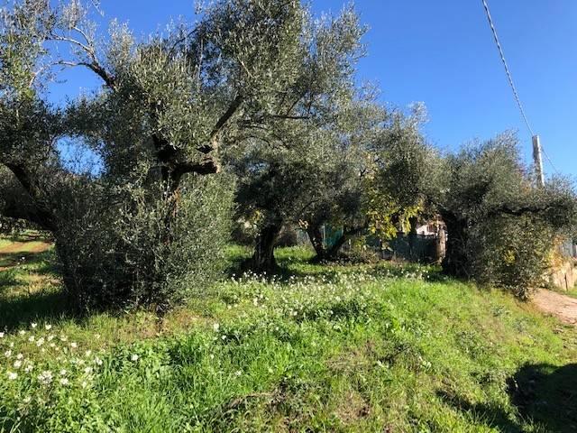 Terreno in vendita a Marcellina RM