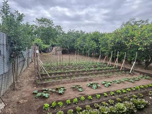 Terreno in vendita a Marcianise CE
