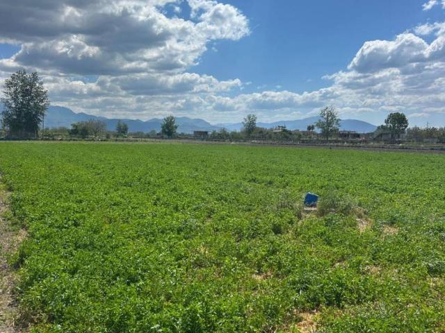 Terreno in vendita a Marigliano NA