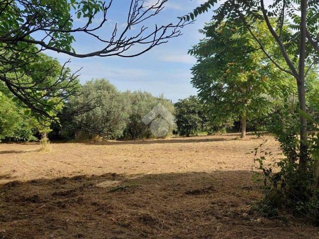 Terreno in vendita a Marino RM
