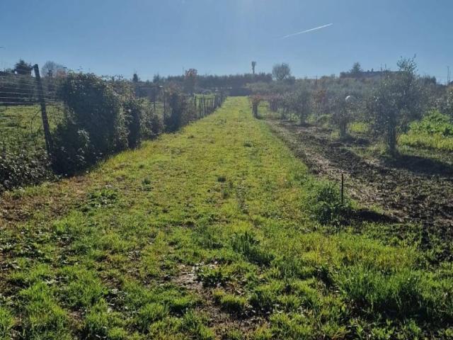 Terreno in vendita a Marino RM