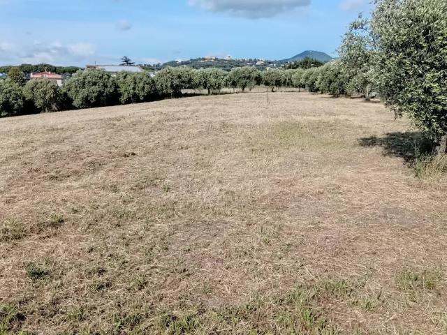 Terreno in vendita a Marino RM
