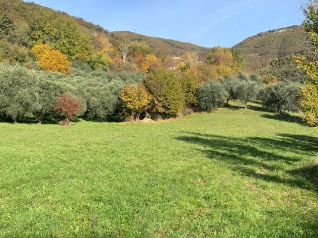 Terreno in vendita a Marostica VI