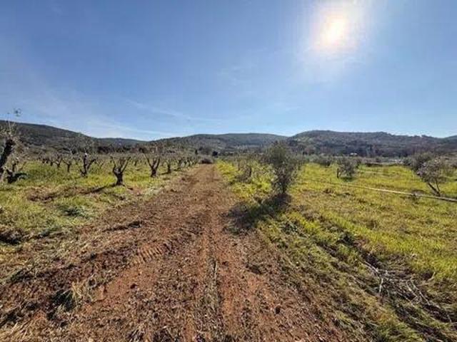 Terreno in vendita a Massa Marittima GR