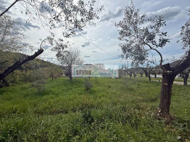 Terreno in vendita a Massarosa LU