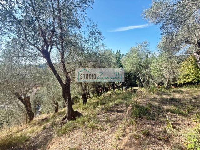 Terreno in vendita a Massarosa LU