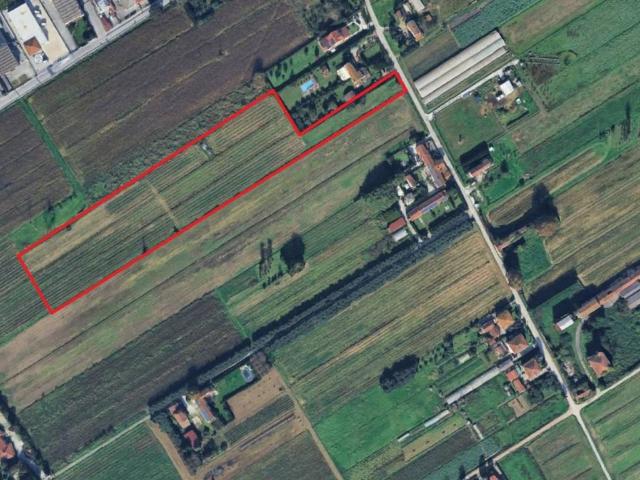 Terreno in vendita a Massarosa LU