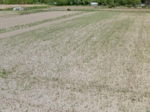 Terreno in vendita a Massarosa, Piano del Quercione