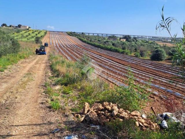 Terreno in vendita a Mazara del Vallo TP