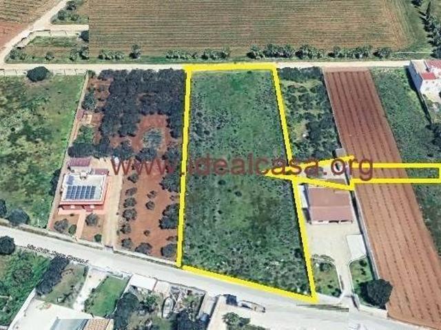 Terreno in vendita a Mazara del Vallo TP