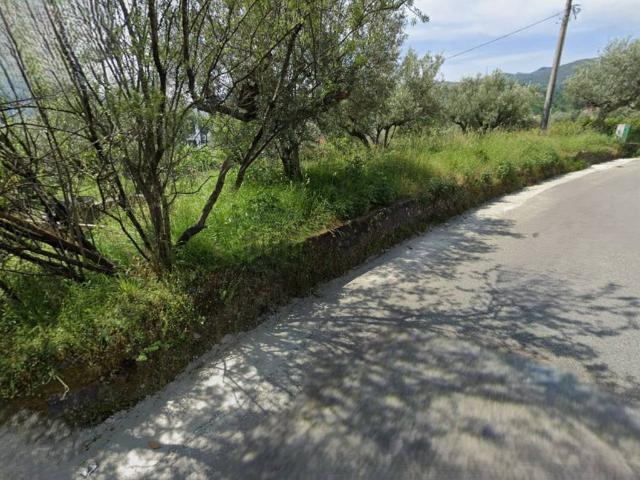 Terreno in vendita a Mendicino CS