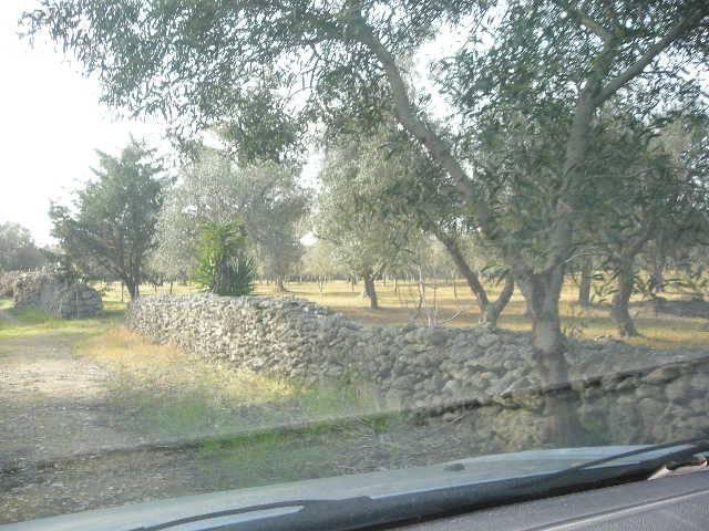 Terreno in vendita a Melendugno LE