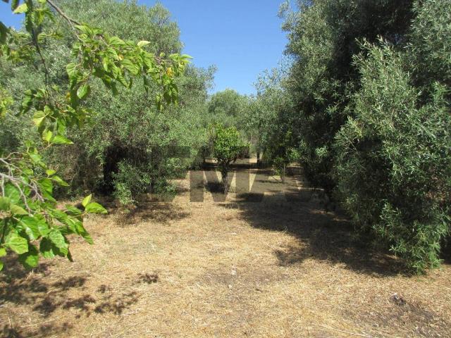 Terreno in vendita a Melilli SR