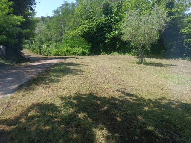 Terreno in vendita a Melizzano BN