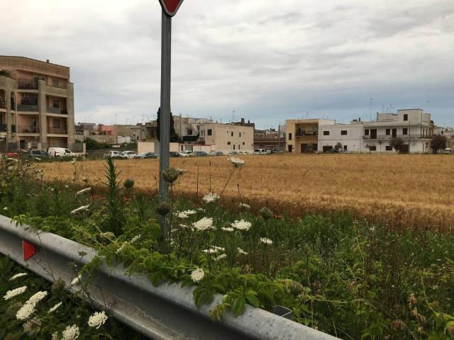 Terreno in vendita a Mesagne BR