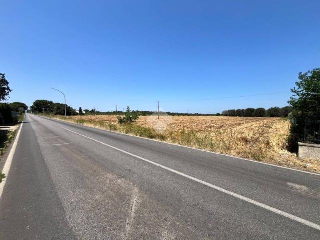 Terreno in vendita a Mesagne BR