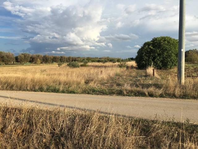 Terreno in vendita a Mesagne BR