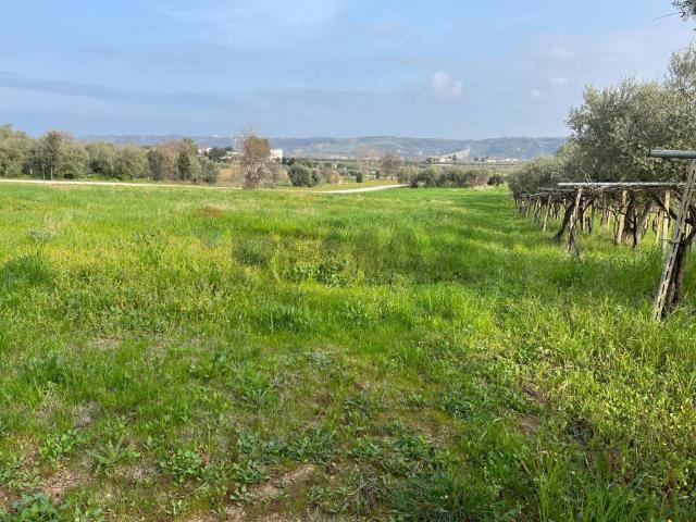 Terreno in vendita a Miglianico CH