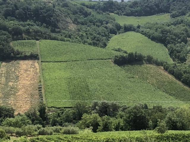 Terreno in vendita a Miglianico CH
