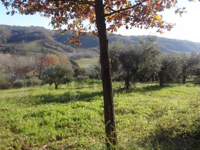 Terreno in vendita a Miglianico CH
