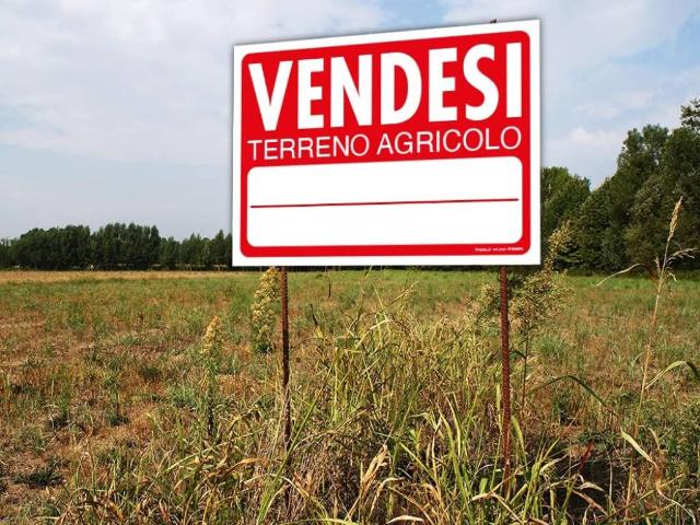 Terreno in vendita a Milano MI