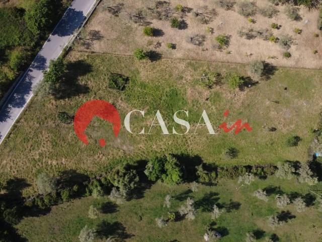 Terreno in vendita a Militello Rosmarino ME