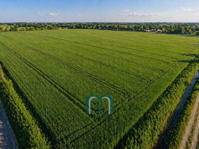 Terreno in vendita a Mirano VE