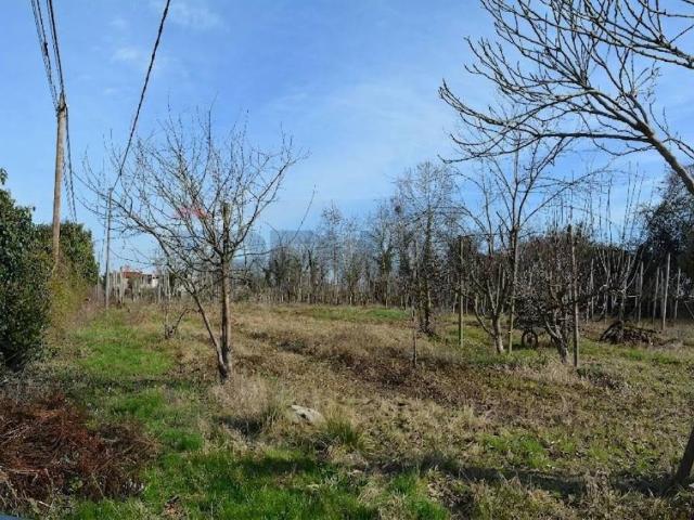 Terreno in vendita a Mirano VE