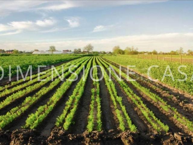 Terreno in vendita a Mirandola MO
