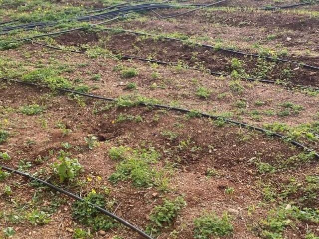 Terreno in vendita a Misilmeri PA