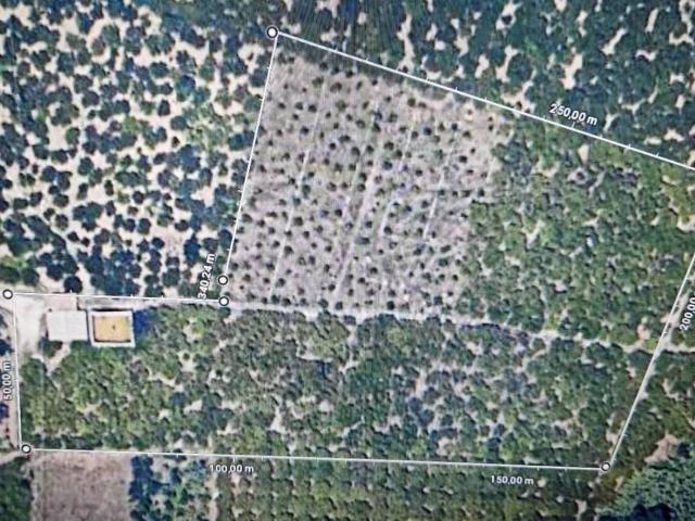 Terreno in vendita a Misilmeri PA