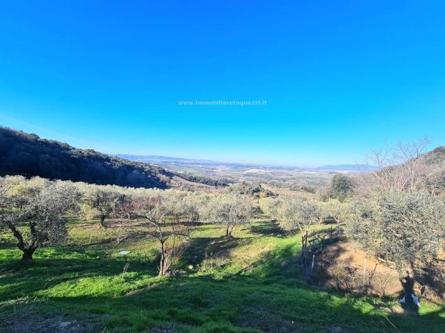 Terreno in vendita a Montaione FI