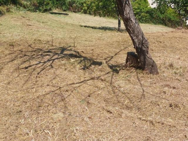 Terreno in vendita a Montalto Uffugo CS