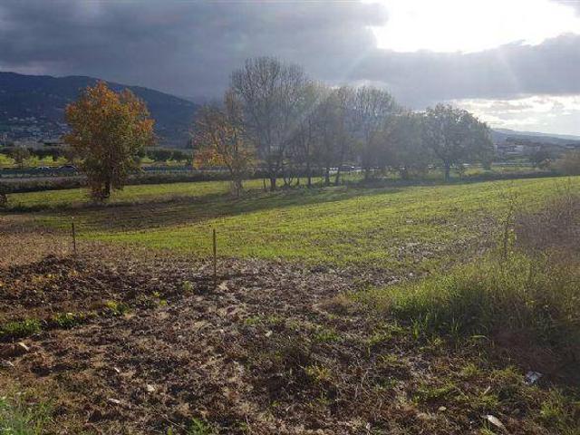 Terreno in vendita a Montalto Uffugo CS