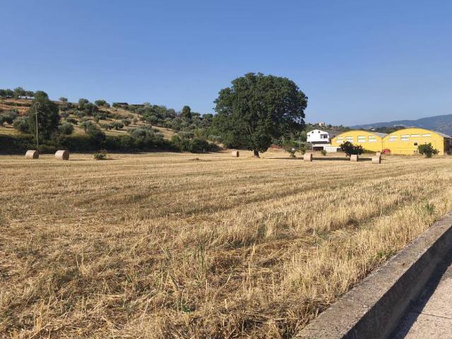Terreno in vendita a Montalto Uffugo CS
