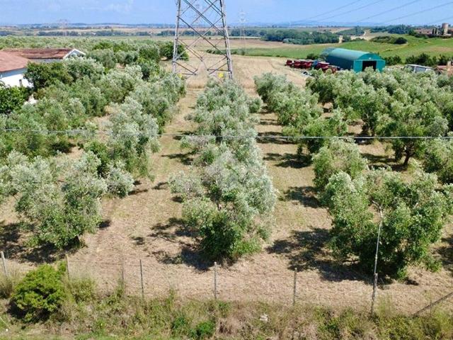 Terreno in vendita a Montalto di Castro VT