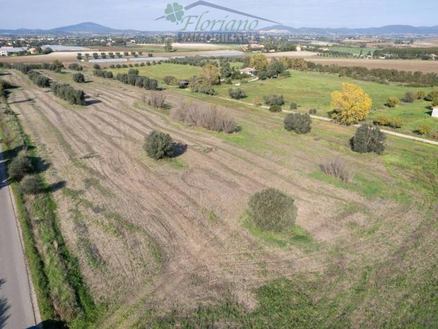 Terreno in vendita a Montalto di Castro VT