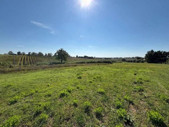 Terreno in vendita a Montalto di Castro VT
